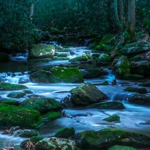 Meet your Posher, Kay